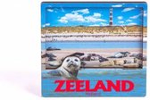 Magneet 2D MDF Compilatie Zeeland - Souvenir