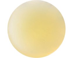 Citroensap - 1 Liter - Holyflavours