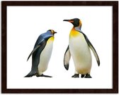 Foto in frame Pinguins, 3 maten, multi-gekleurd, Premium print