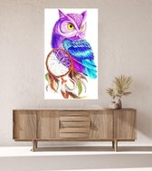 JDBOS ® Schilderen op nummer Volwassenen met frame (hout) - Gekleurde uil - Dromenvanger - Verven volwassenen - 40x50 cm