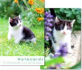 Leonard Smith Notecards ~ Kaartenmapje Kitten
