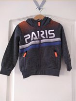 Jongens vest Paris grijs 158/164