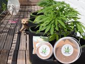 Potgrond | Wormenmest | Meelwormen | Bodemverbeteraar | Kamerplant | Gazonmest | Cannabis | Compost