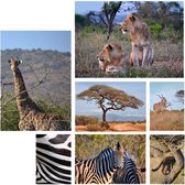 Fotocollage Afrika- safari- wanddecoratie- woondecoratie- gerecycled