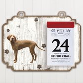 Scheurkalender 2023 Hond: Vizsla Draadhaar