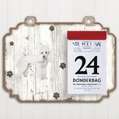 Scheurkalender 2022 Hond: Poedel