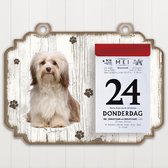 Scheurkalender 2023 Hond: Havanezer