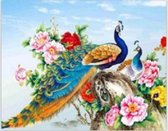 Diamond painting compleet pakket Mona Lisa 50x40cm: pauw