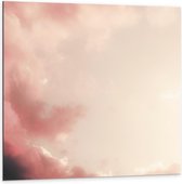 Dibond - Op een Roze Wolk - 100x100cm Foto op Aluminium (Met Ophangsysteem)