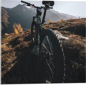 Acrylglas - Mountainbike in de Bergen - 50x50cm Foto op Acrylglas (Wanddecoratie op Acrylglas)