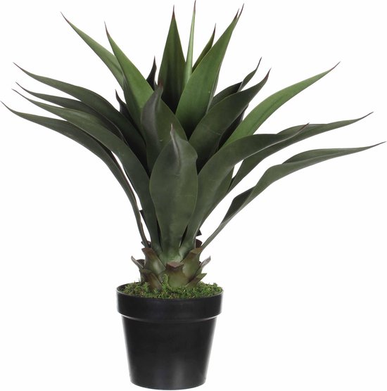 Plante artificielle Vert Agave - H 60cm - Pot décoratif en plastique - Décorations Mica