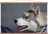 Schoolplaat – Husky aan de Land - 120x80cm Foto op Textielposter (Wanddecoratie op Schoolplaat)