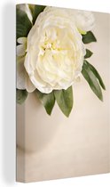 Canvas Schilderij Witte pioenroos is een witte vaas - 20x30 cm - Wanddecoratie