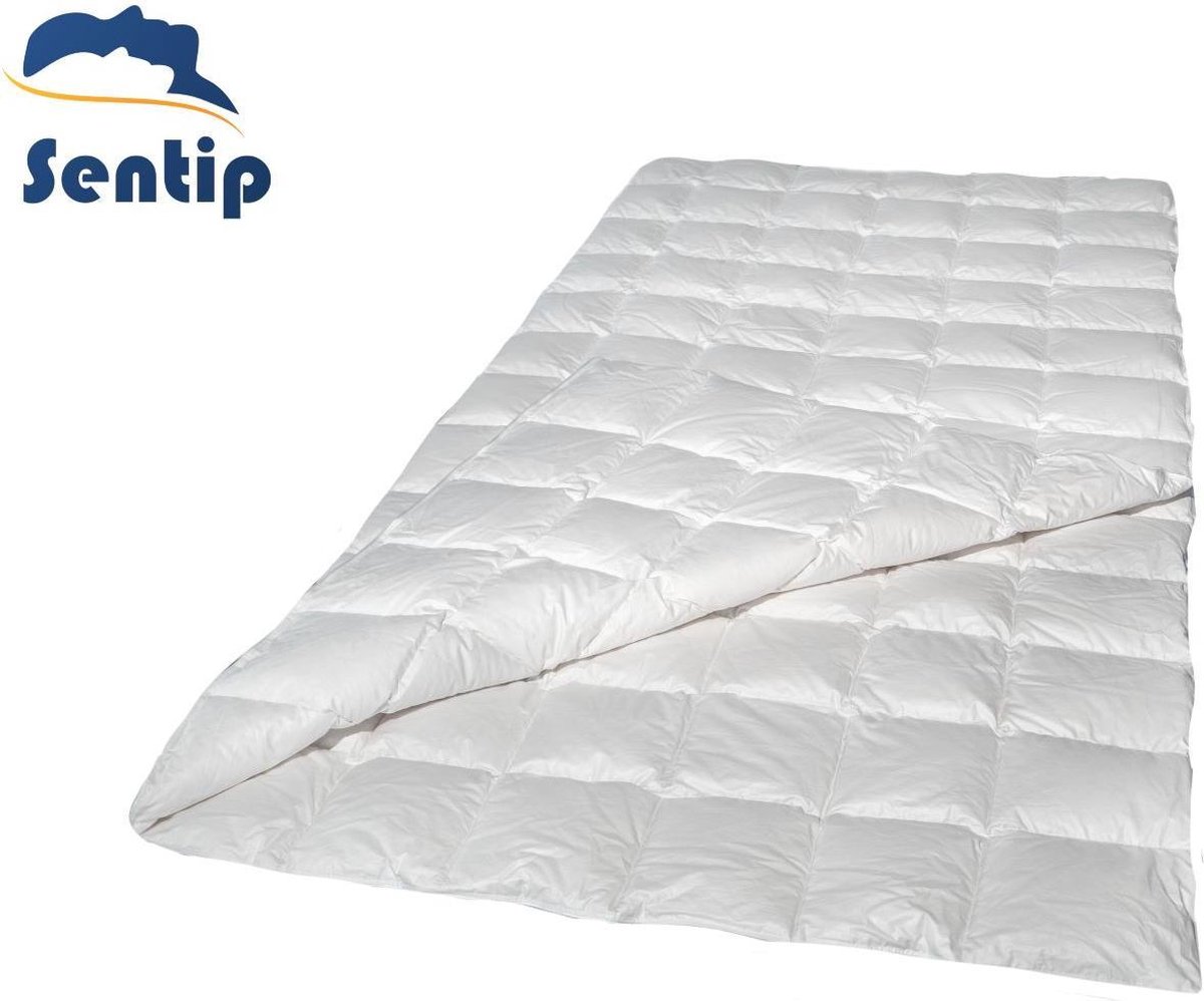 dekbed - dekbedden - DONZEN - DONS - GANZENDONS - 200x200 - 100% KATOEN - all year - enkel