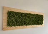 Mijn Design Huis-mos-Rendiermos- schilderij -houten plank - mos wand