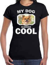 Chihuahua honden t-shirt my dog is serious cool zwart - dames - Chihuahuas liefhebber cadeau shirt XS