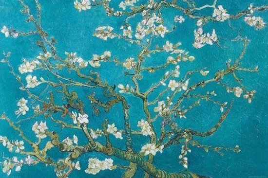 Van Gogh Amandel bloesem - Maxi Poster | bol.com