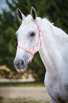 Weatherbeeta Verstelbare quick clip halster roze maat cob