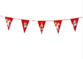 Sinterklaas & Piet Vlaggenlijn | Feest Decoratie | 15 Vlaggetjes | ca. 6 Meter