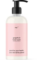 Ray Handzeep - Hand Wash - Hydraterend - 250ml