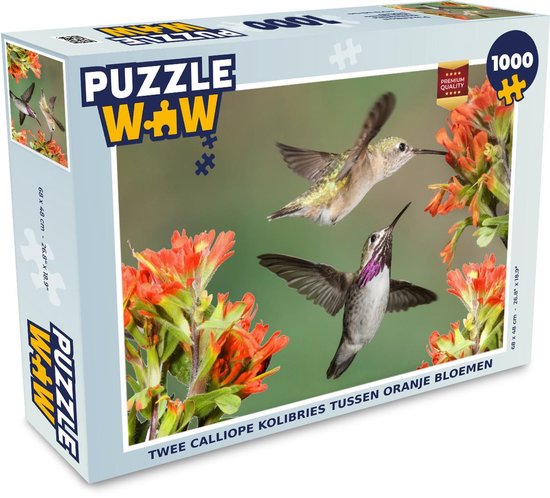 Puzzel Kolibrie - Bloemen - Oranje - Legpuzzel - Puzzel 1000 stukjes  volwassenen | bol.com