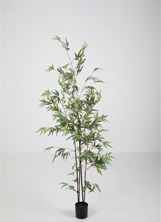 solidariteit strottenhoofd Krankzinnigheid Seta Fiori - Bamboo plant – 190cm – zwarte bamboe – kunstplanten voor binnen  - | bol.com