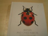 Beetles And Other Insects