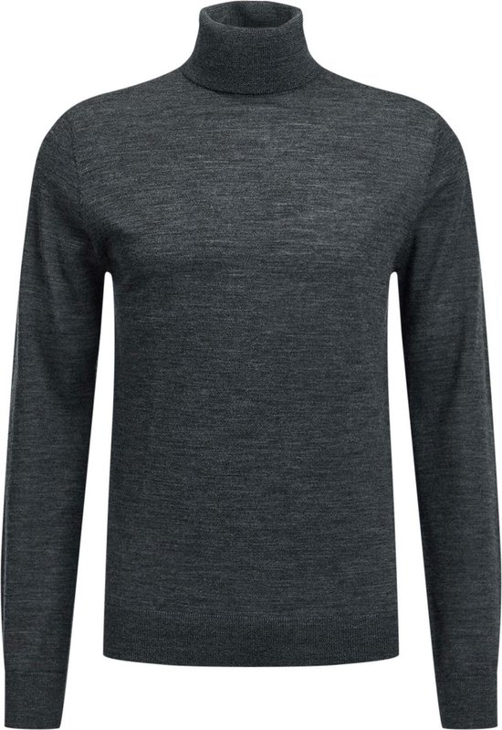 | WE Fashion Heren merinowollen coltrui HEREN MERINOWOLLEN COLTRUI | 86010191 WE Fashion