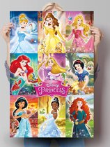 Disney Princess  - Poster 61 x 91.5 cm