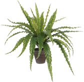 Plante artificielle Asplenium Green - H 54cm - Pot décoratif en céramique - Mica Decorations