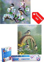 Crafterman™ Diamond Painting Volwassenen VOORDEEL SET VAN 2 STUKS - Vogeltjes met bloemen & vogeltjes op een wiel 30x40cm - volledige bedekking - vierkante steentjes - Met 2 E-books - kerstca
