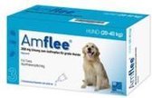Amflee Spot-on Hond (20-40kg) - 3 Pipetten