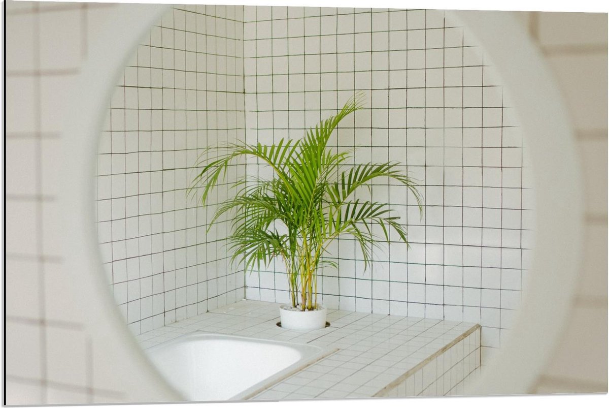 Dibond - Spiegel in Badkamer met Plant - 90x60cm Foto op Aluminium (Met Ophangsysteem)
