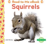 Everyday Animals - Squirrels