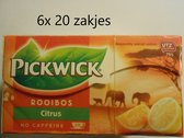 Pickwick thee - Rooibos Citrus - multipak 6x 20 zakjes