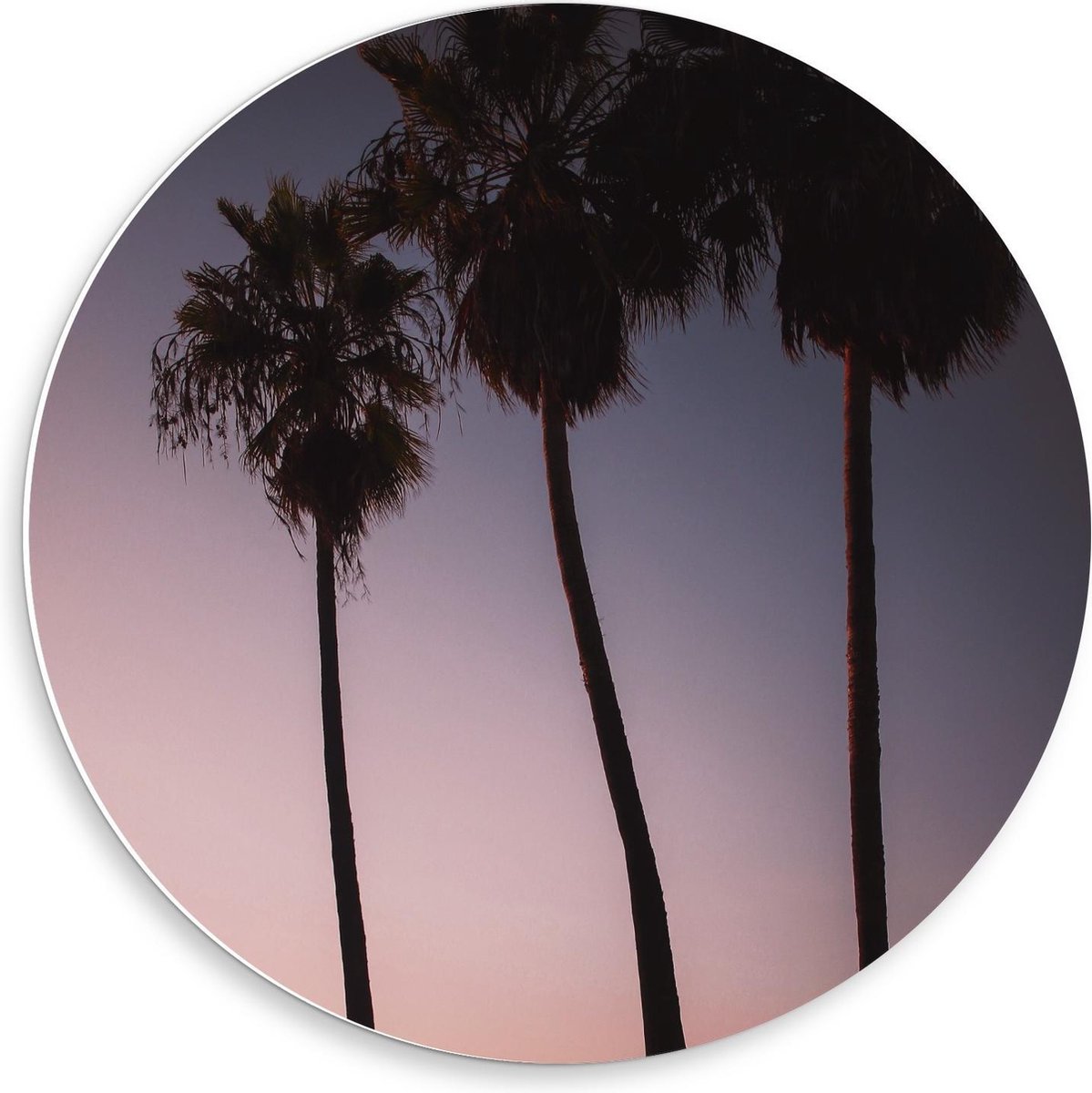 KuijsFotoprint Forex Wandcirkel - Palmbomen op Strand met Zonsondergang - 50x50cm Foto op Wandcirkel (met ophangsysteem) Blauw