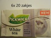 Pickwick - White tea -witte thee- Multipak 6x 20 zakjes