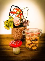 Snoeppotje gevuld 'Herfst boswandeling'
