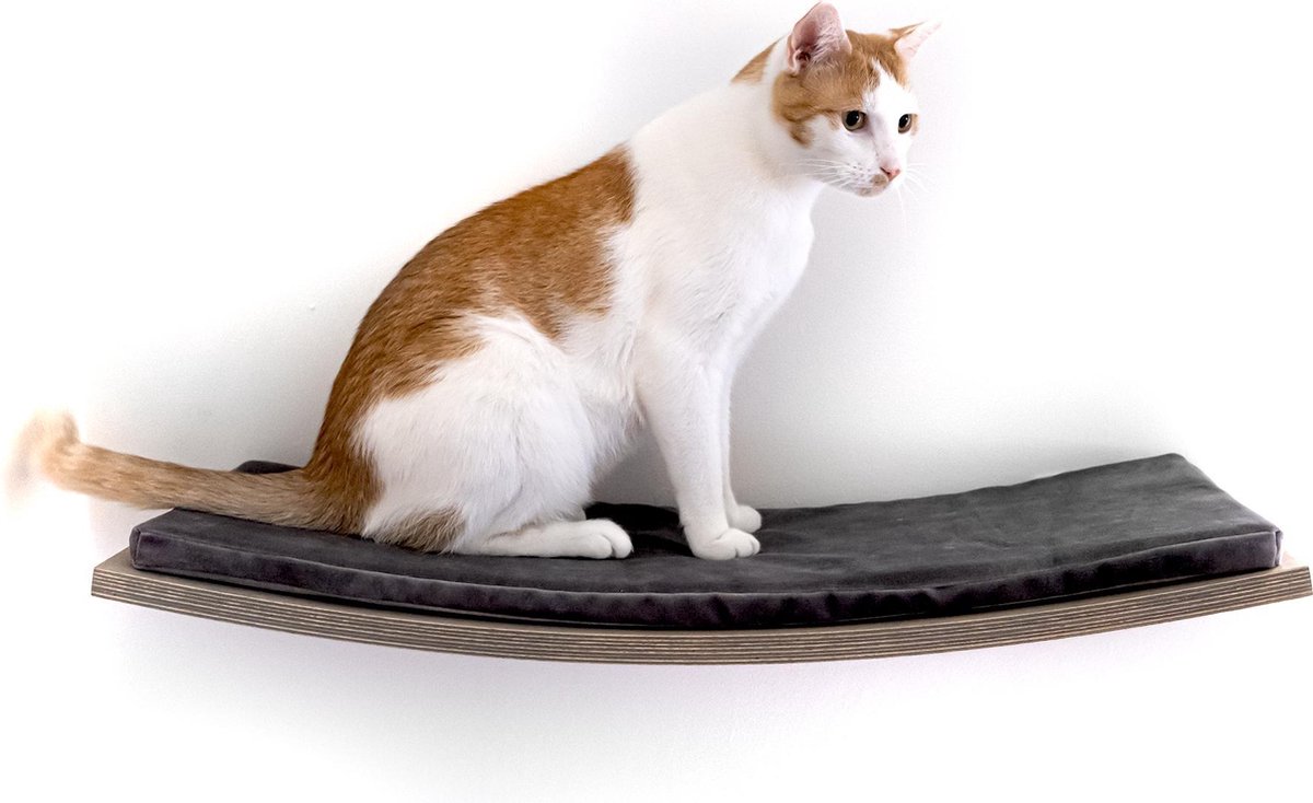 Zwevend kattenplankje - plankje voor kat - klimmuur kat - - kattenmuur... | bol.com