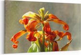 Schilderij - Flowers — 90x60 cm