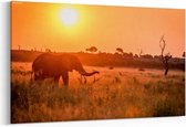 Schilderij - Een olifant die tijdens de zonsondergang loopt — 90x60 cm