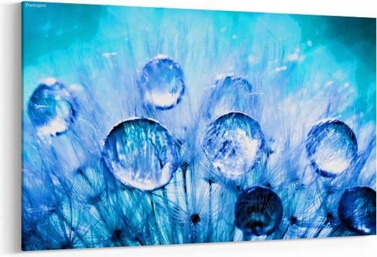 Schilderij Mooie op bloem — 90x60 cm | bol.com