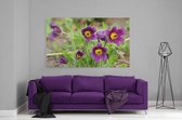 Schilderij - Paarse bloemen close-up — 90x60 cm