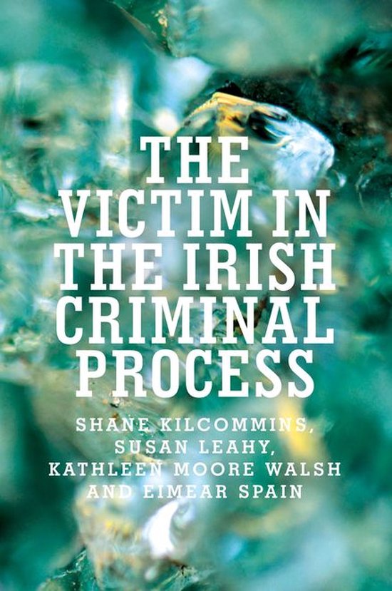 The victim in the Irish criminal process - cover
