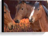 Canvas  - Paarden Hoofden - 40x30cm Foto op Canvas Schilderij (Wanddecoratie op Canvas)