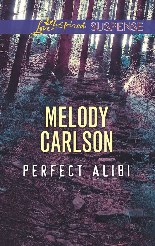 Perfect Alibi - cover