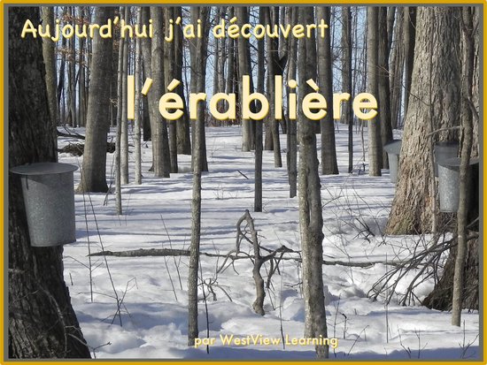 Aujourd'hui j'ai découver - Aujourd’hui j’ai découver ... - cover