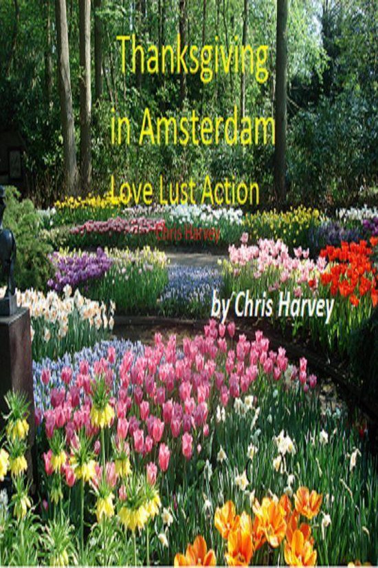 Thanksgiving in Amsterdam - cover