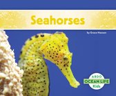 Ocean Life - Seahorses