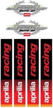 Stickerset Aprilia world champion 135x277mm